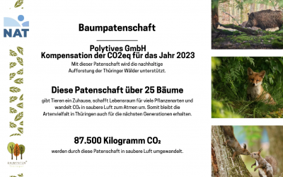 Nachhaltigkeitsbericht 2023: Erste CO2-Bilanz mit ecocockpit