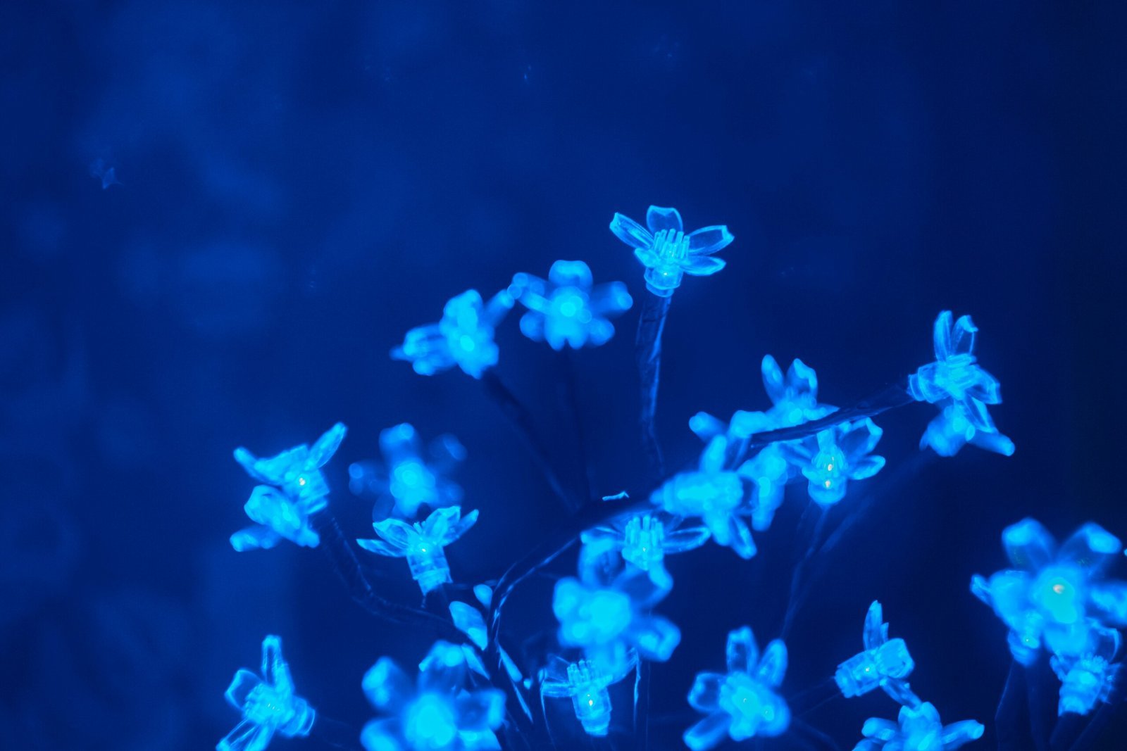 Blooming verhindern